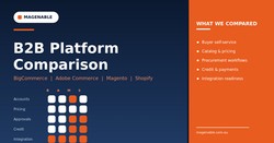 B2B platform comparison: BigCommerce, Adobe Commerce, Magento Open Source and Shopify compared across accounts, pricing, approvals, credit and integration