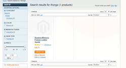 Solr Bridge Magento jargons