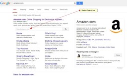 What is Google Sitelink Search - screenshot