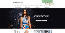 David Jones on-site search box desktop