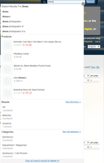 Solr Bridge Magento extensions: auto-suggest.
