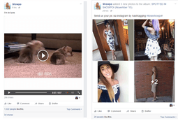 Showpo Facebook posts